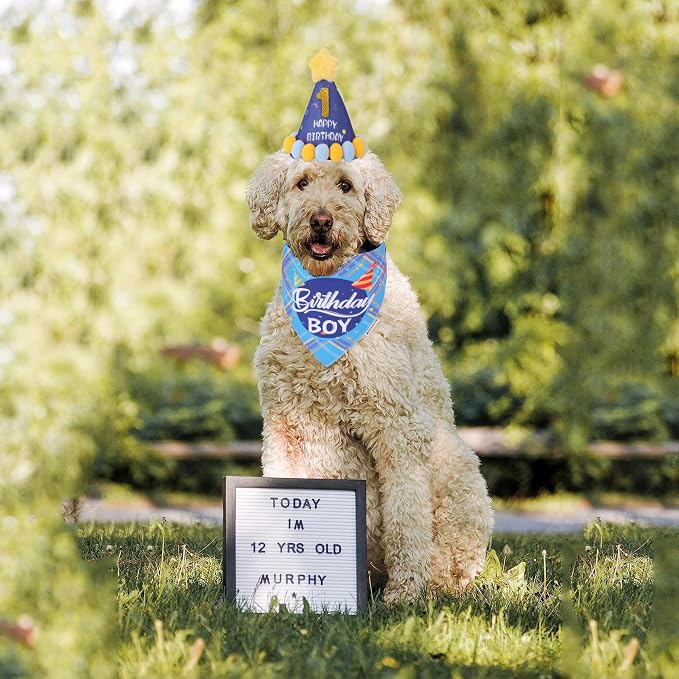 ADOGGYGO Dog Birthday Party Supplies, Party Hat - Image 2