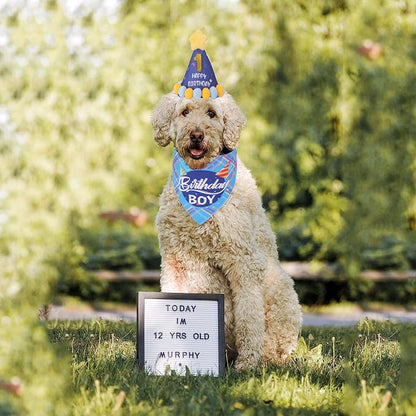ADOGGYGO Dog Birthday Party Supplies, Party Hat - Image 2