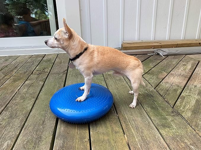 Dog Balance Disc Cushion 14" - Image 2