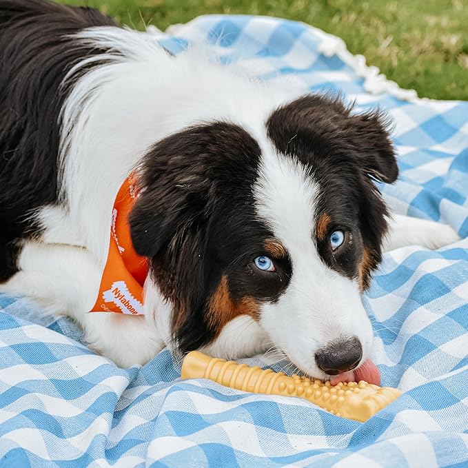Nylabone Power Chew Textured Knuckle Bone - Image 2