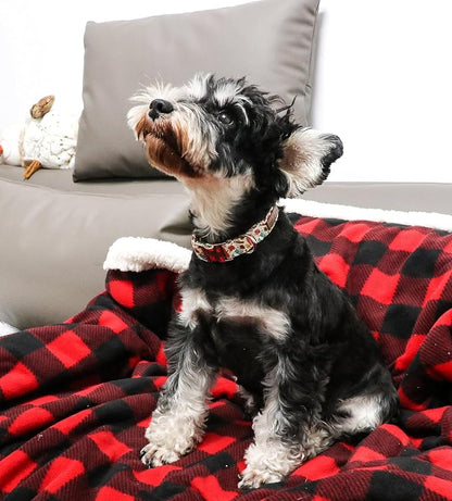 Unique style paws Halloween Dog Collar Metal Buckle Pumpkin Collar Gift Durable - Image 3