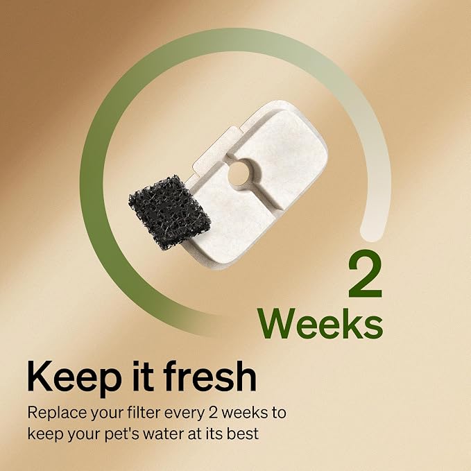 PETLIBRO Cat Water Fountain Filter Replacement, 8 Pack Dockstream Replacement - Image 3