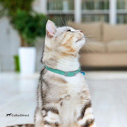 CollarDirect Leather Cat Collar, Cat Safety Collar - Image 7