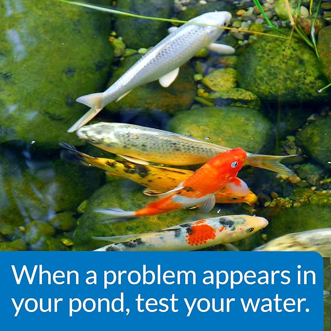 API POND MASTER TEST KIT Pond Water Test Kit 500-Test - Image 6