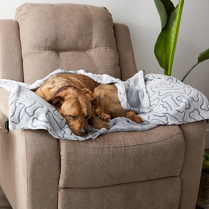 Bone Dry Embossed Bone Print Pet Blanket - Image 5