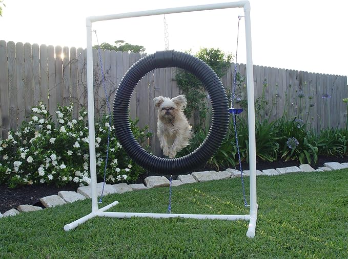 Tire Jump - Dog Agility Equipment - Image 3