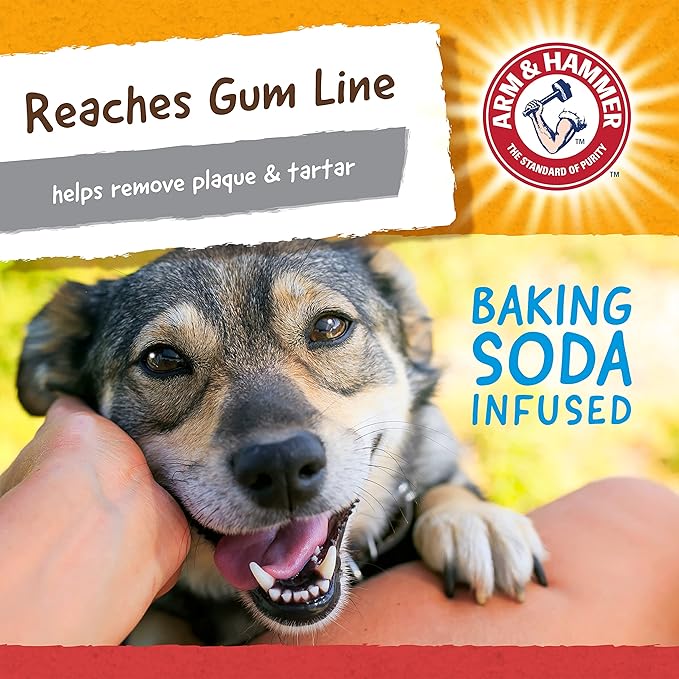 ARM & HAMMER for Pets Nubbies Wishbone Dog Dental Toy| Best Dog Chew Toy for - Image 5