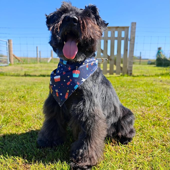 Birthday Dog Bandana for Medium Large Dog, Reversible Soft Breathable - Image 2