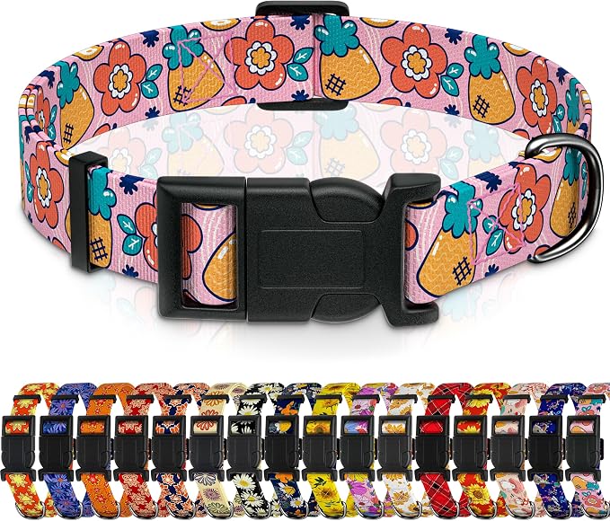 Dog Collar, Cute Cartoon Fruit Boys Girls Puppy Collar by Seyezo