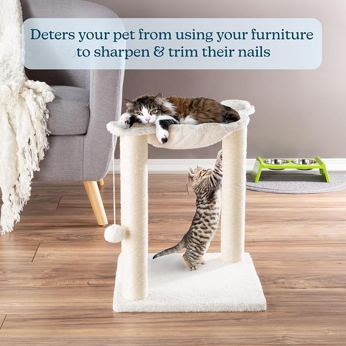 19-Inch Cat Scratching Post - Image 4
