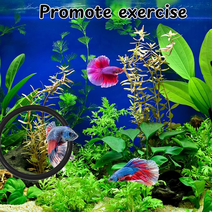 Betta Ring and Mirror Toy for Aquarium, Floating Exercise Mirrors for Fish Tank - Image 3