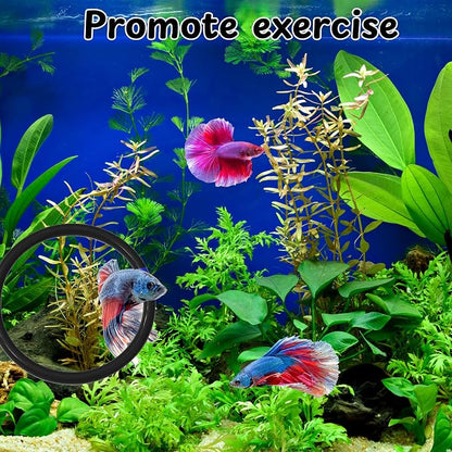 Betta Ring and Mirror Toy for Aquarium, Floating Exercise Mirrors for Fish Tank - Image 3
