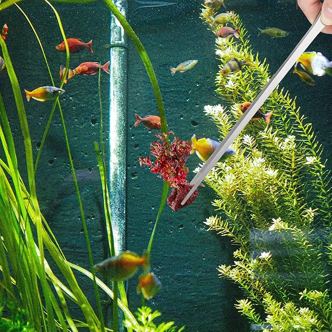 2PCS Long Aquarium Tweezers - Image 7