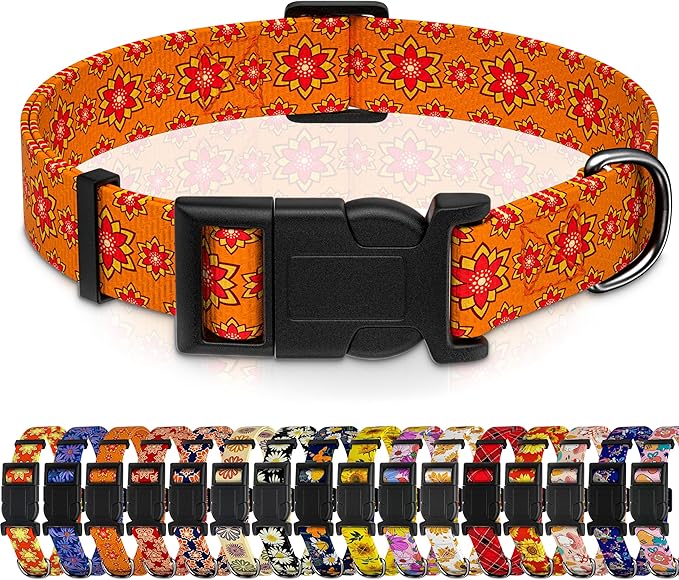 Dog Collar, Classical Indian Spirit Boys Girls Puppy Collar by Seyezo