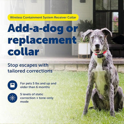 PetSafe Wireless Pet Containment System Receiver Collar - Image 2