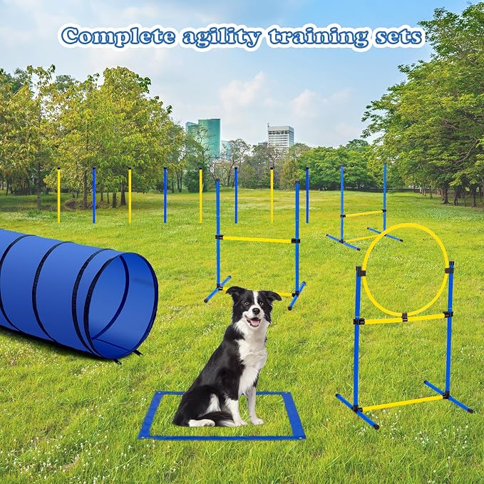 Dog Agility Course Backyard Set，Dog Agility Equipment, Dog Obstacle Course - Image 8
