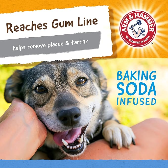 Arm & Hammer for Pets Nubbies TriBone Dog Dental Toy - Image 6
