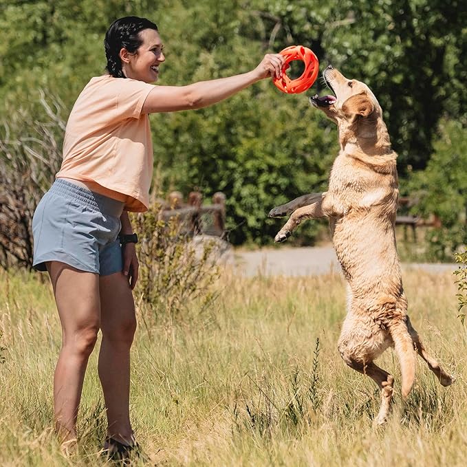 Chuckit! Air Fetch Wheel Dog Toy - Image 6