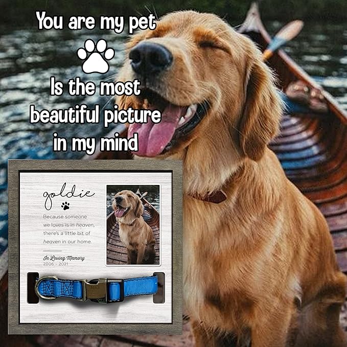 Customized Dog Collar Frame Memorial Pet Loss Sign - Image 6