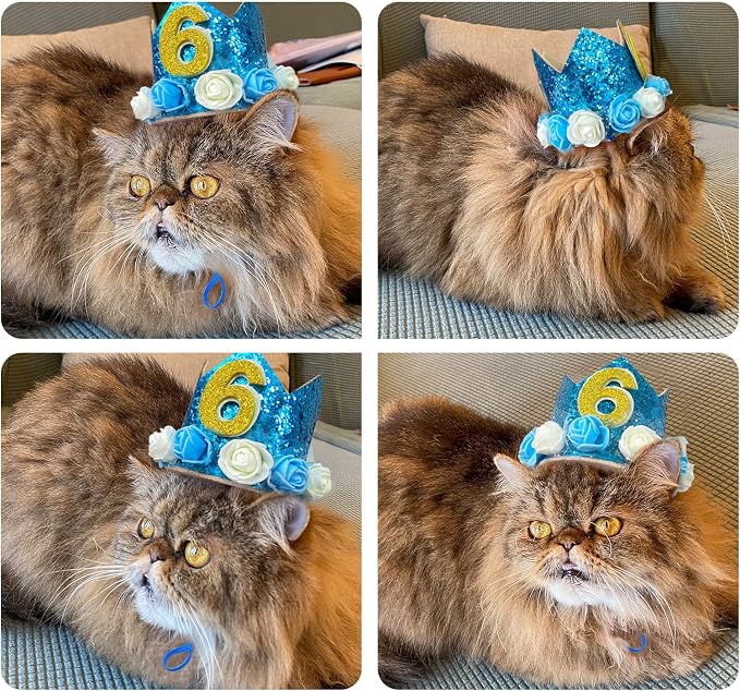 Pet Crown Hat Dog Birthday Reusable Birthday Party Crown - Image 6