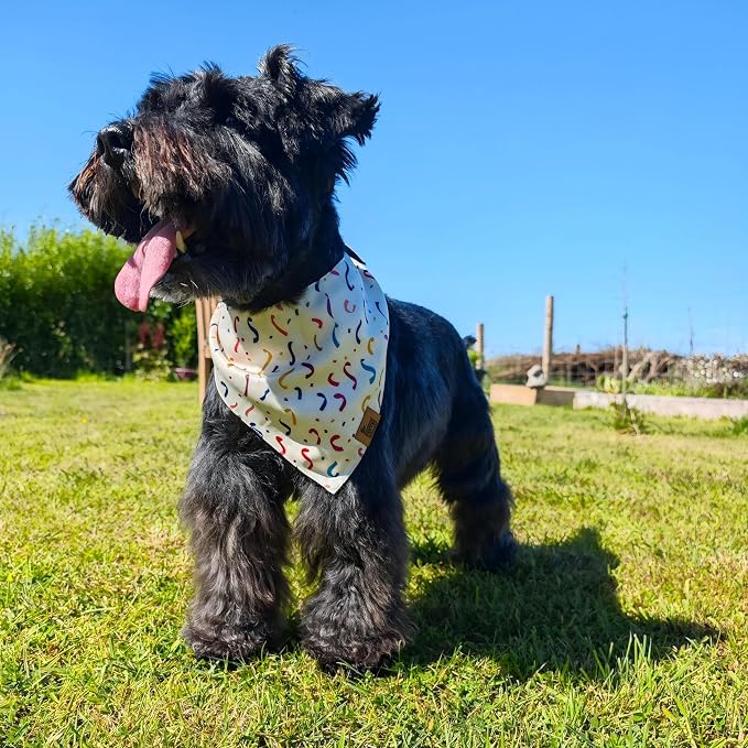 Birthday Dog Bandana for Medium Large Dog, Reversible Soft Breathable - Image 3