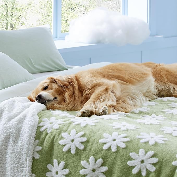 LE SURE Waterproof Dog Blanket for Large Dogs - Image 7