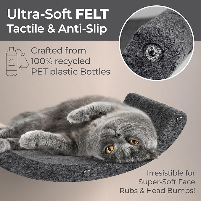 Wall Mounted Cat Shelves by Pryde Pets - Image 2