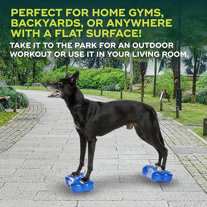 FitPAWS® K9FITbone® - Image 4