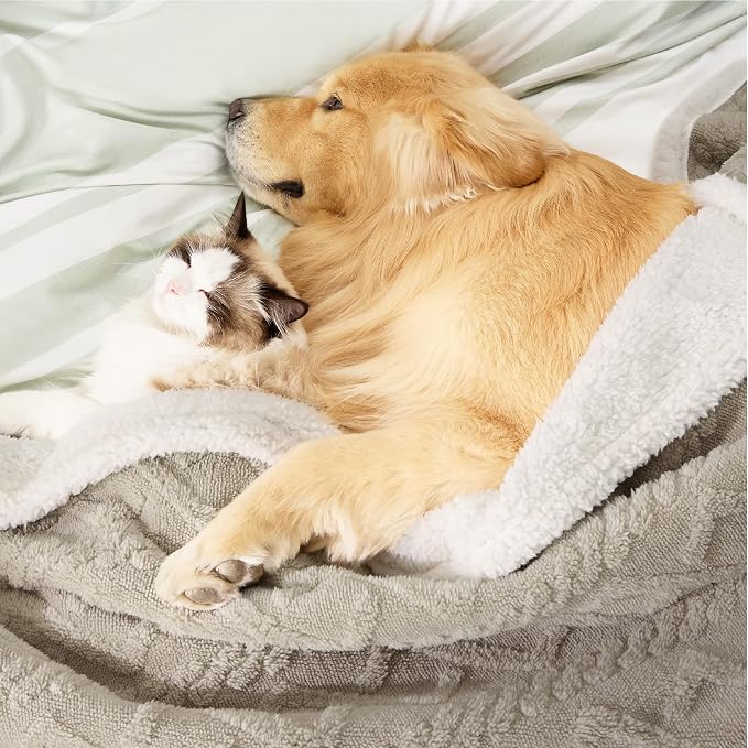 Bedsure Waterproof Dog Blankets - Image 7