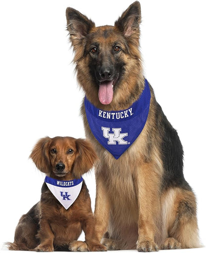 Pets First Collegiate Pet Accessories, Reversible Bandana, Kentucky Wildcats - Image 5