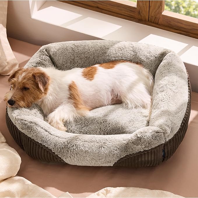 Bedsure Washable Dog Bed Small Medium Size Dog by BEDSURE