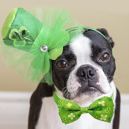 2 Pack St. Patrick Day Cat Collar - Image 6