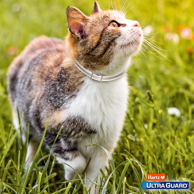 Hartz UltraGuard Pro Flea & Tick Collar - Image 10