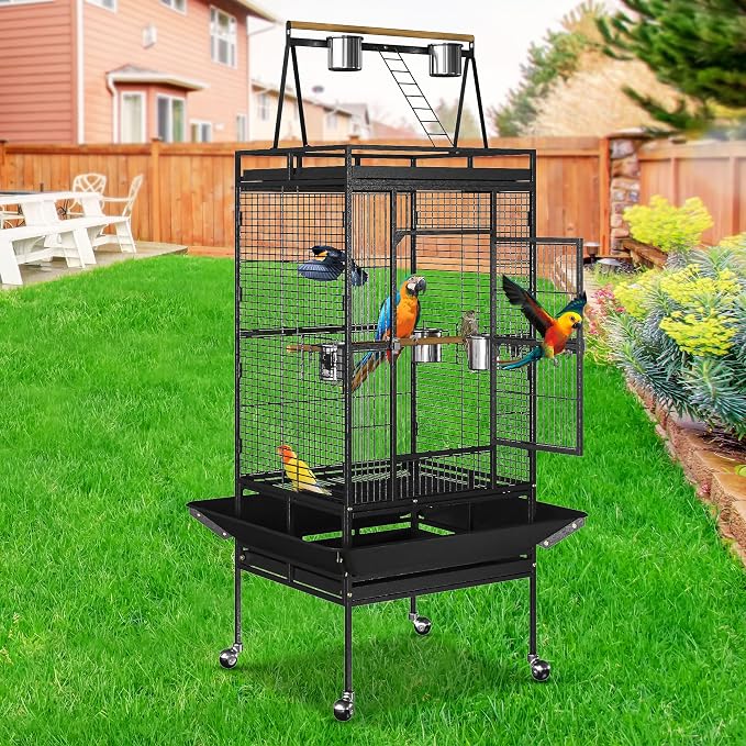 Nova Microdermabrasion 68-Inch Height Wrought Iron Standing Large Play Top Bird - Image 4