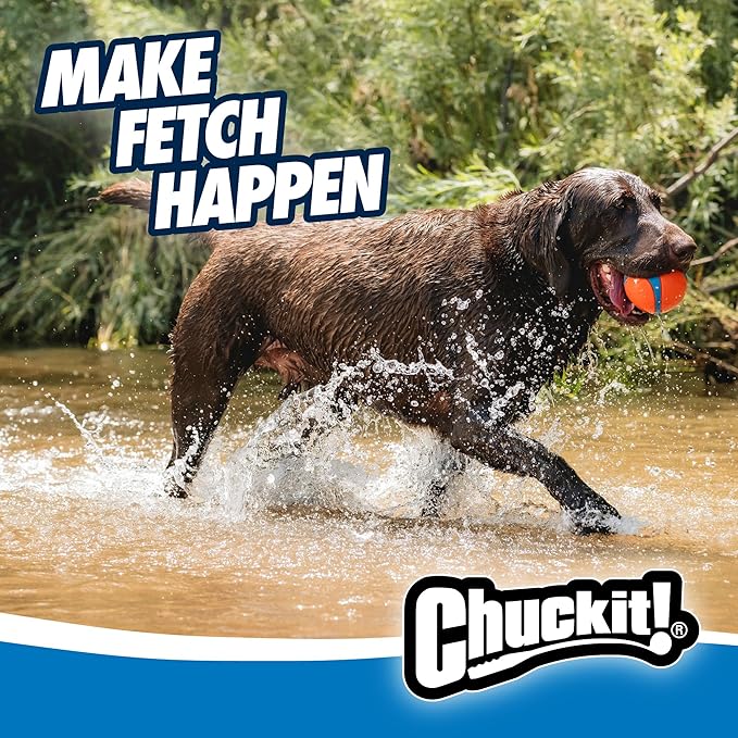 Chuckit! Ultra Ball Dog Toy - Image 5