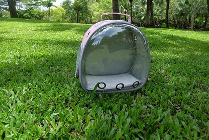 Small Animal Carrier Guinea Pig Backpack, Transparent, Breathable Backpack - Image 5