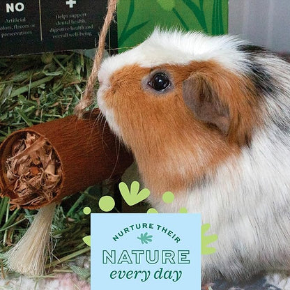 Oxbow Enriched Life Natural Dangly Party Pack, Rabbit Toys, Guinea Pig Toys - Image 9