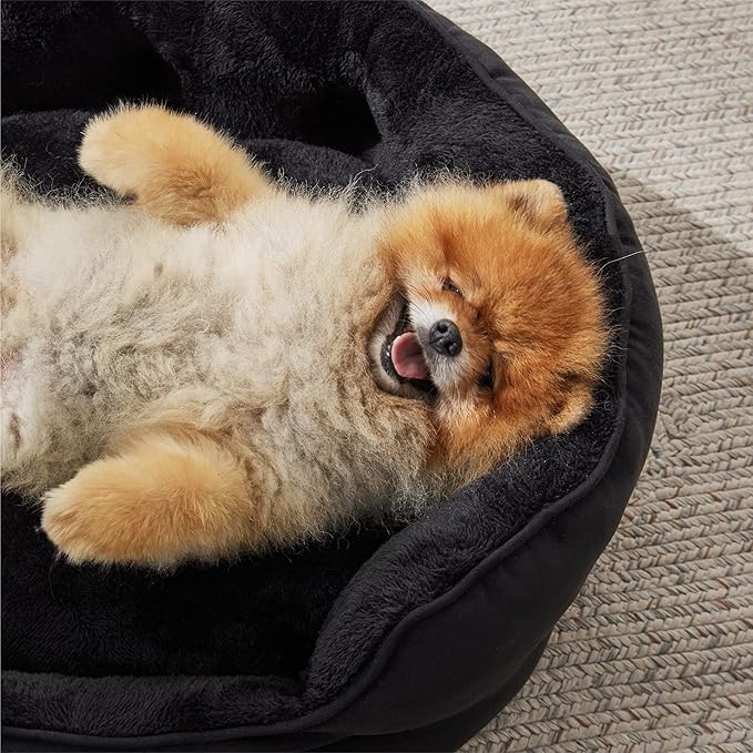 Bedsure Dog Beds for Small Dogs - Image 6