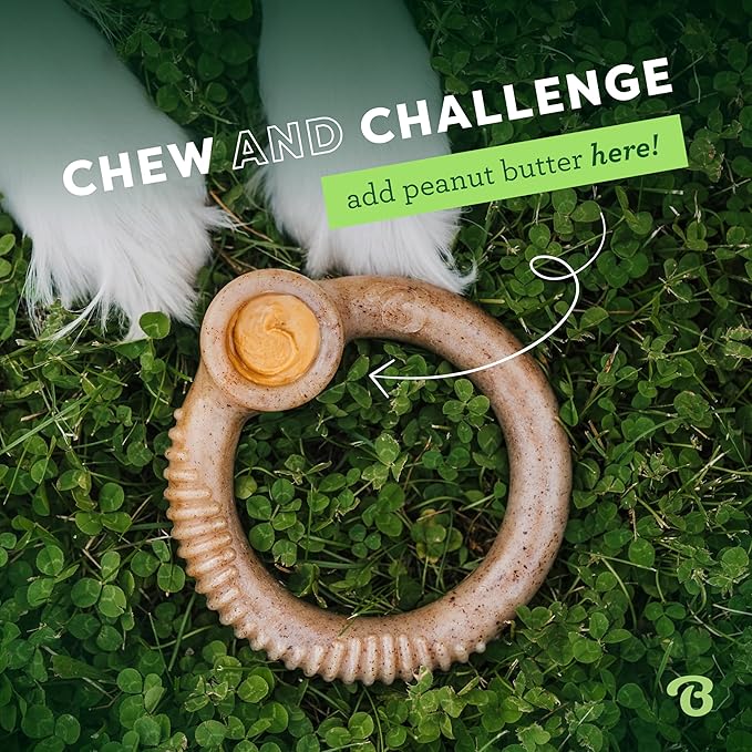 Benebone Ring Durable Dog Chew Toy - Image 5