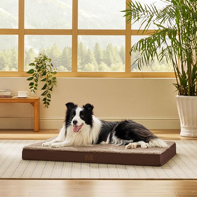 Bedsure Dog Beds Large Sized Dog - Image 7