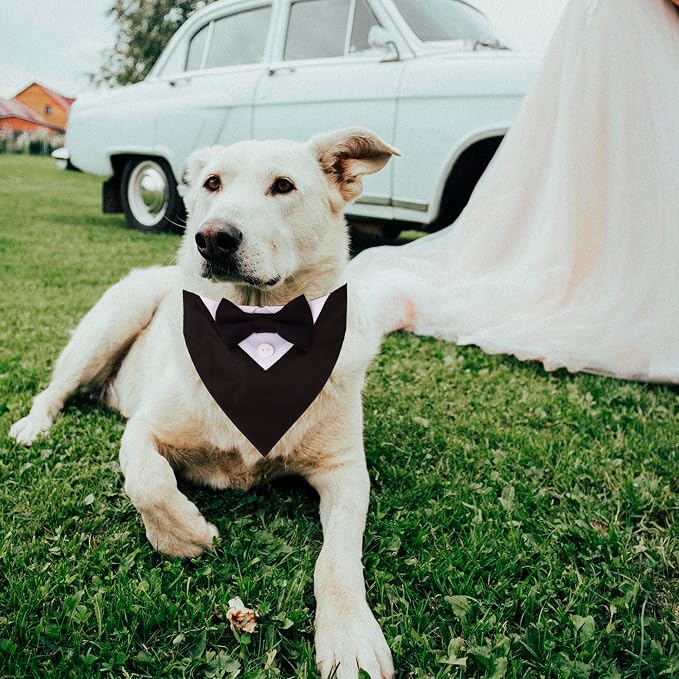 ADOGGYGO Formal Dog Tuxedo, Wedding Dog Collar - Image 3