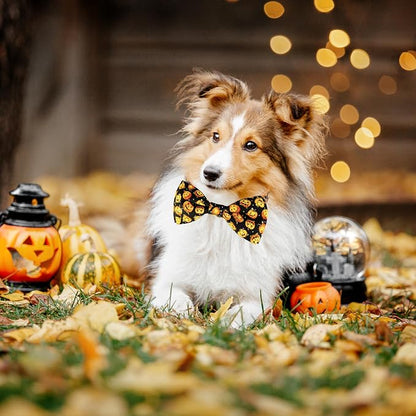 Halloween Dog Bow Tie Collar, Holiday Skull Pumpkin Collar - Image 4