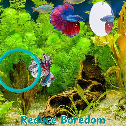 2 pcs Betta Ring Enrichment Toys - Image 6