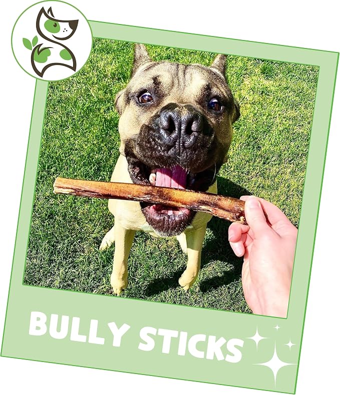 Nature Gnaws Bully Sticks for Dogs 5-6" - Image 6