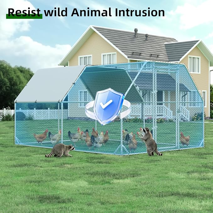 Large Metal Chicken Coop, Walk-in Chicken Run - Image 7