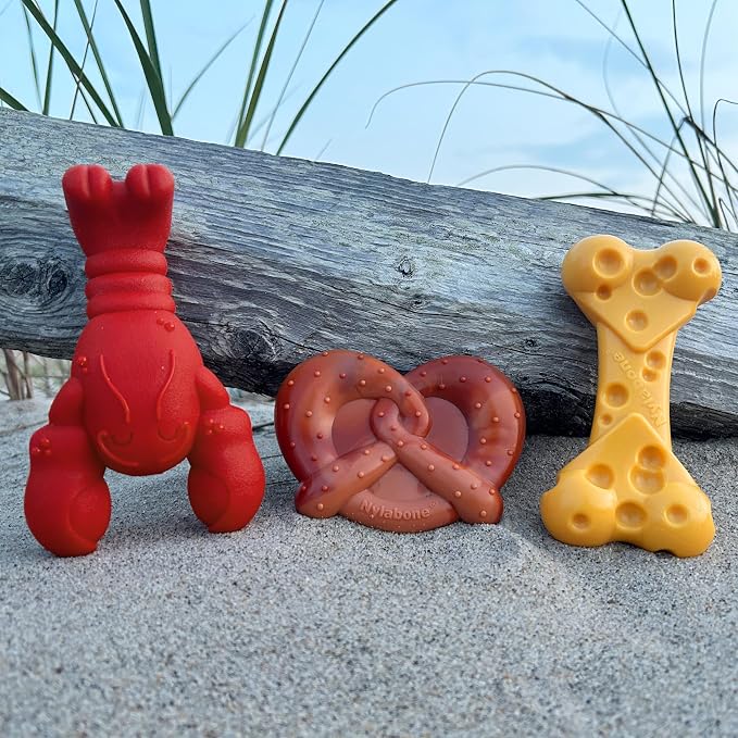 Nylabone Power Chew Toy Bundle, Cute Dog Toys - Image 14
