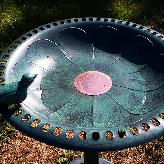 Erva Copper Bird Bath Purification Disk - Image 2