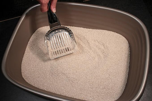RSVP International Endurance Collection Stainless Steel Kitty Litter Scoop - Image 2