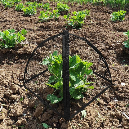 Strawberry Plant Protector, Plant Protection Tent - Image 5