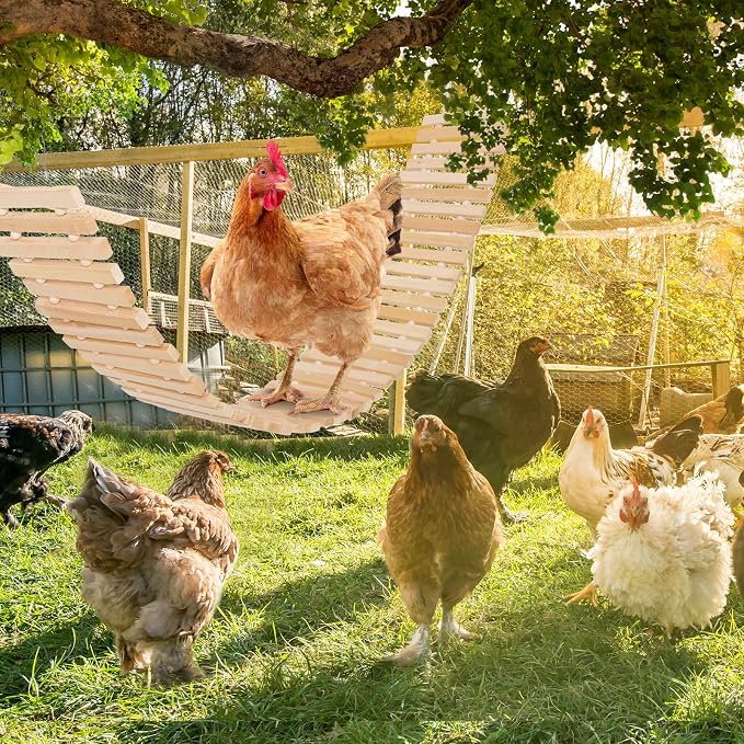 Jorewood Chicken Coop Toy Natural Wooden Chicken Swing & Bridge Toys - Image 6